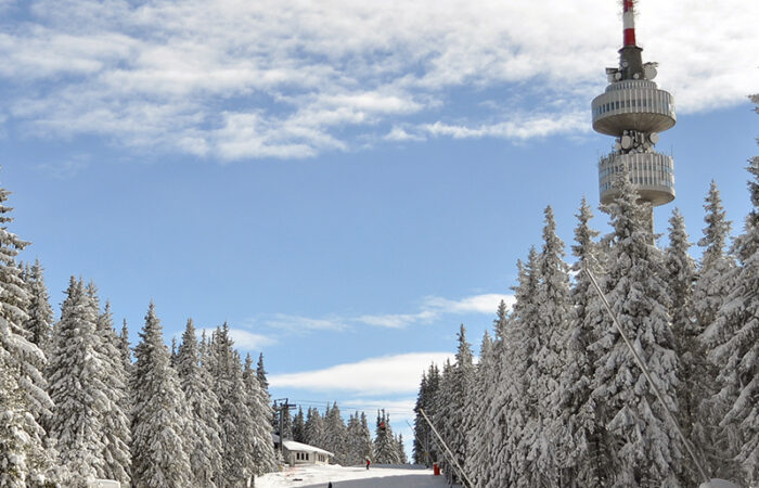 Tabara de Ski – Pamporovo