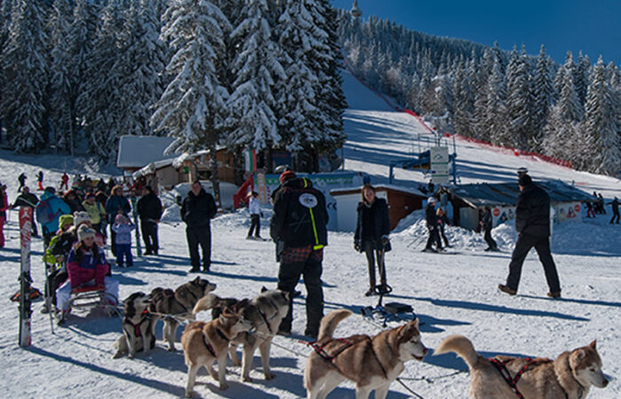 Tabara de Ski – Pamporovo
